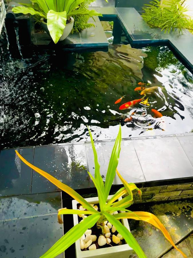 Hotel Travellers Halt Ratnapura Esterno foto